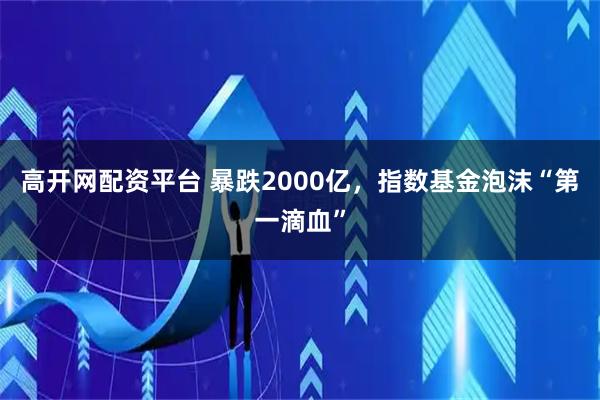 高开网配资平台 暴跌2000亿，指数基金泡沫“第一滴血”