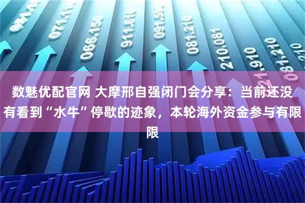 数魅优配官网 大摩邢自强闭门会分享：当前还没有看到“水牛”停歇的迹象，本轮海外资金参与有限