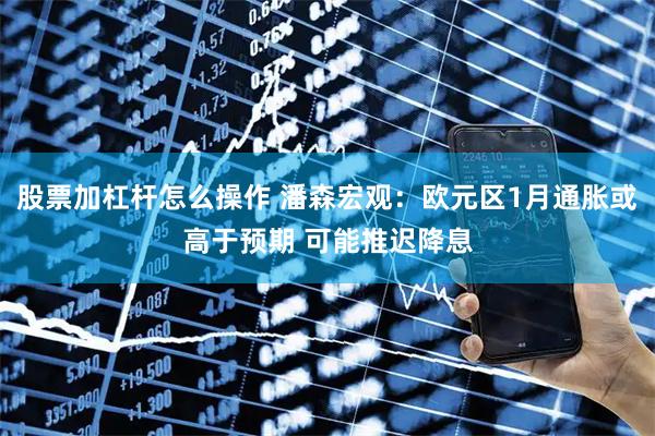 股票加杠杆怎么操作 潘森宏观：欧元区1月通胀或高于预期 可能推迟降息